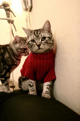 萨卡终场绝杀！巴拉圭奇兵逆转掀翻苏格兰