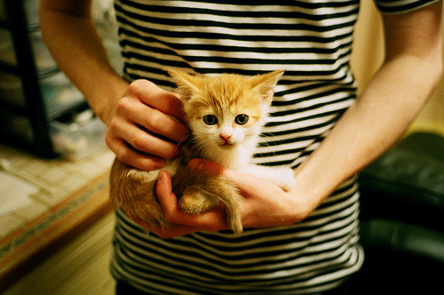 布克关键节点连续得分，雷霆速胜广厦队