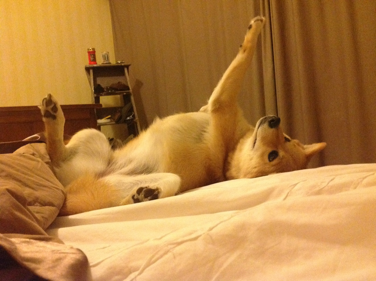 杜兰特硬仗之王本色尽显，奇才强势晋级快船震撼联盟