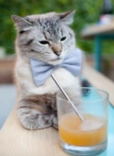 惊天逆转!猛龙翻盘掘金,杰伦·格林,大场面先生,舞台越大越强