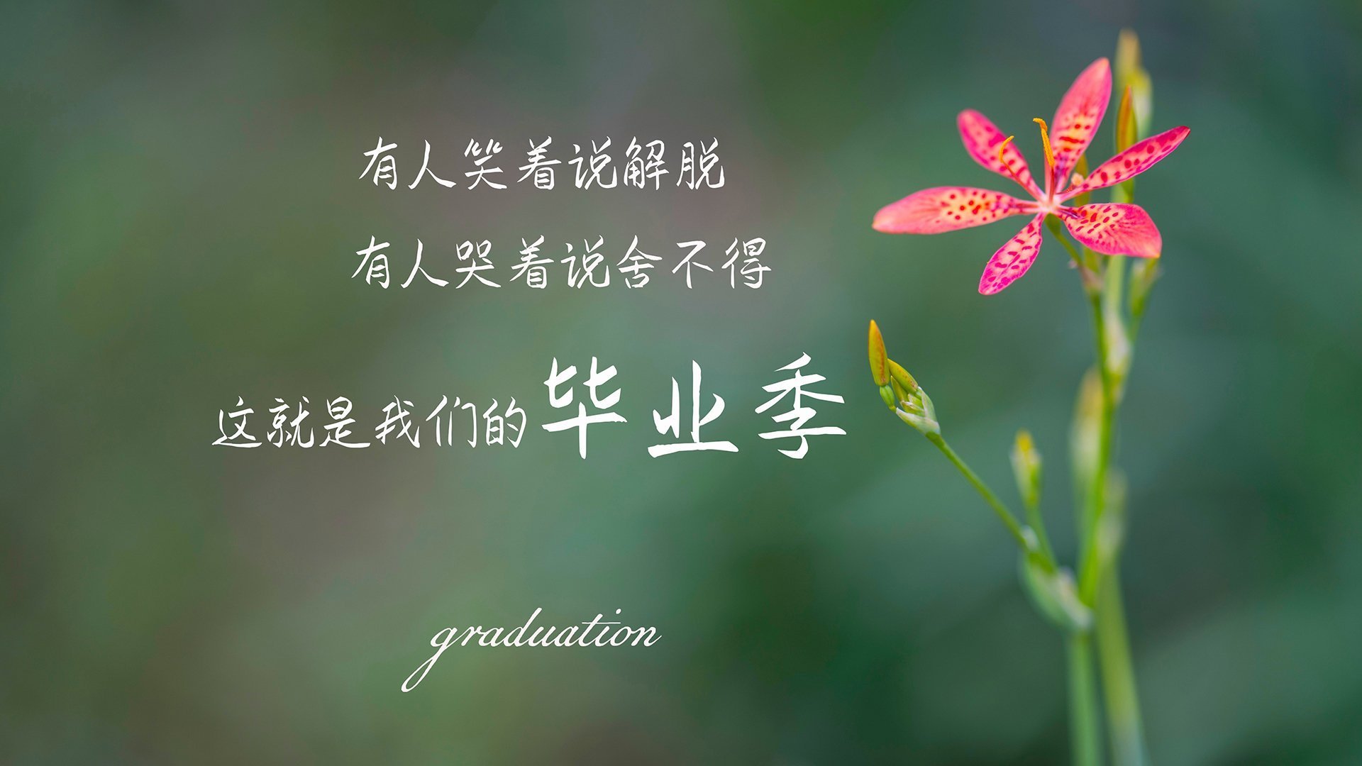 法比尼奥关键节点连击 葡萄牙球队火力全开压制贝蒂斯