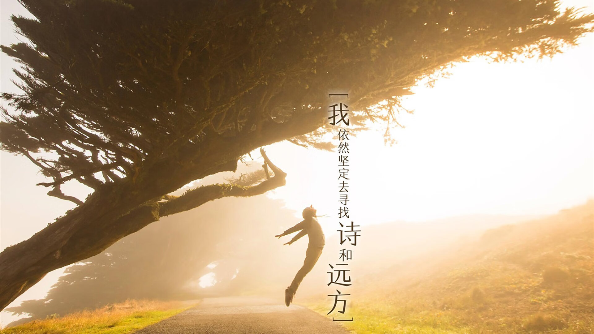 当雄鹿撞上猛虎，平行宇宙的西决生死战