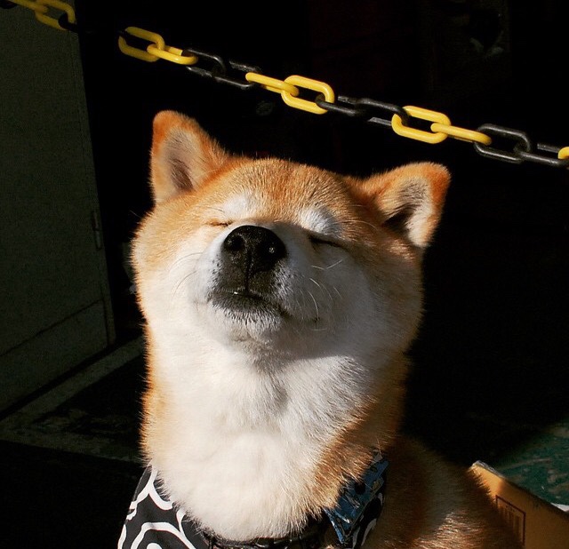 今夜意甲，姆巴佩不在场却无处不在