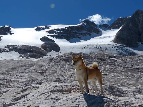 南十字星划过安菲尔德,当救赎的剧本由最意想不到的笔触写下