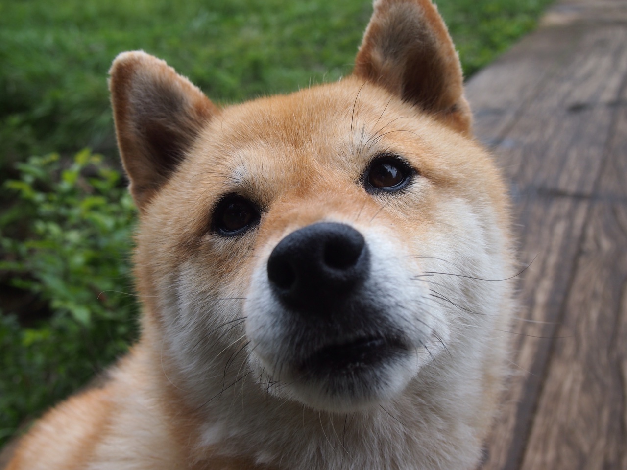 阿圭罗,一脚传球,两种杀机—阿根廷的攻防转换之核如何粉碎尤文图斯