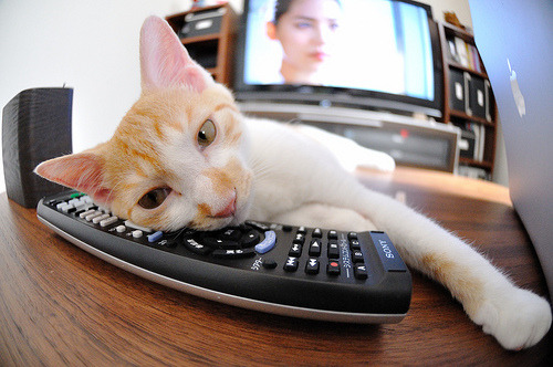 神话与坚韧的碰撞,迪马利亚一箭穿心,希腊强行终结太极虎