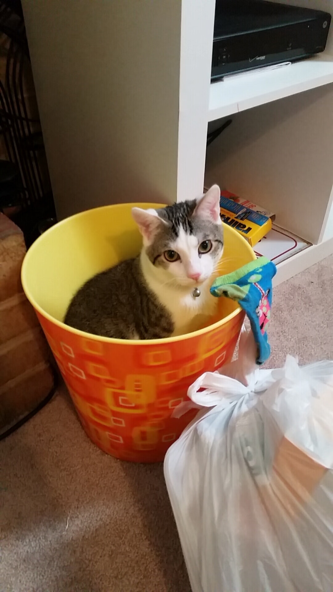 跨界风暴,从绿茵场到硬木地板的传奇之夜