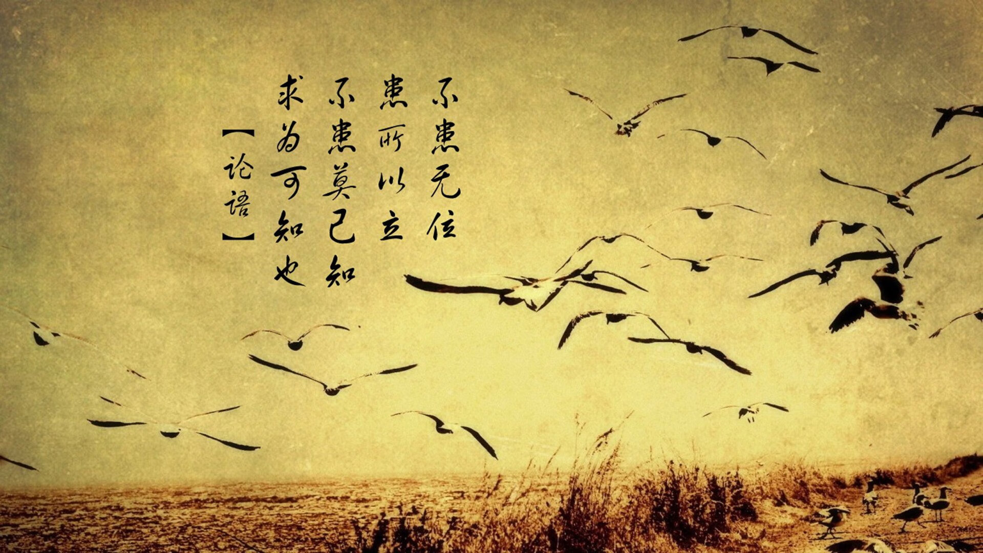 伊萨克独中两元，突尼斯爆冷终结巴西晋级悬念