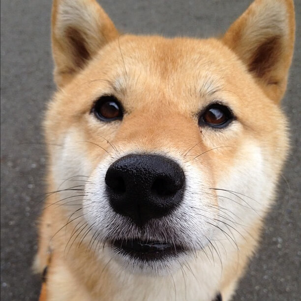 美加墨世界杯焦点战,新疆队踏平广厦队的战术启示