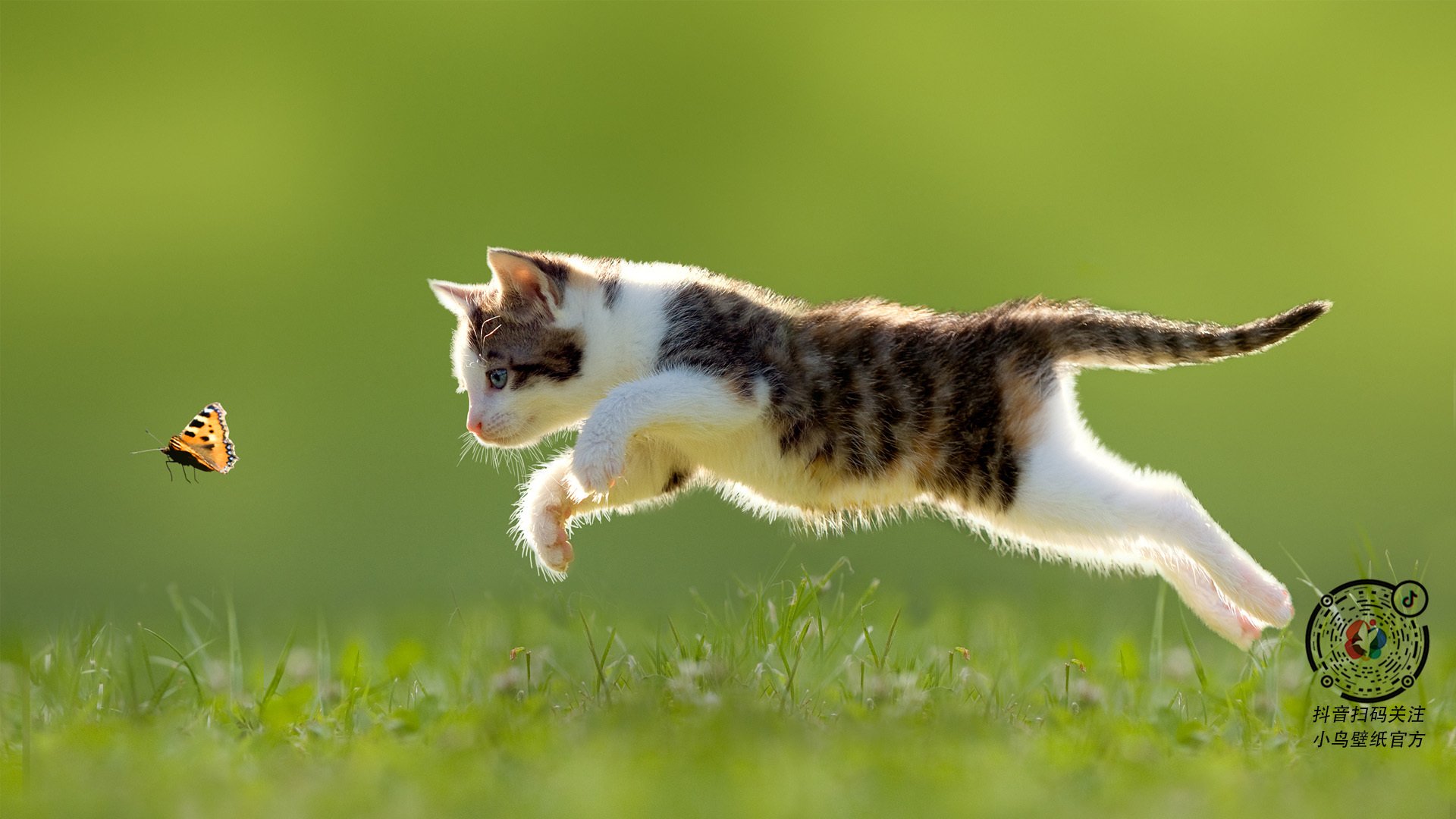 太阳耀斑席卷费城,全面压制下的西决生死战启示录